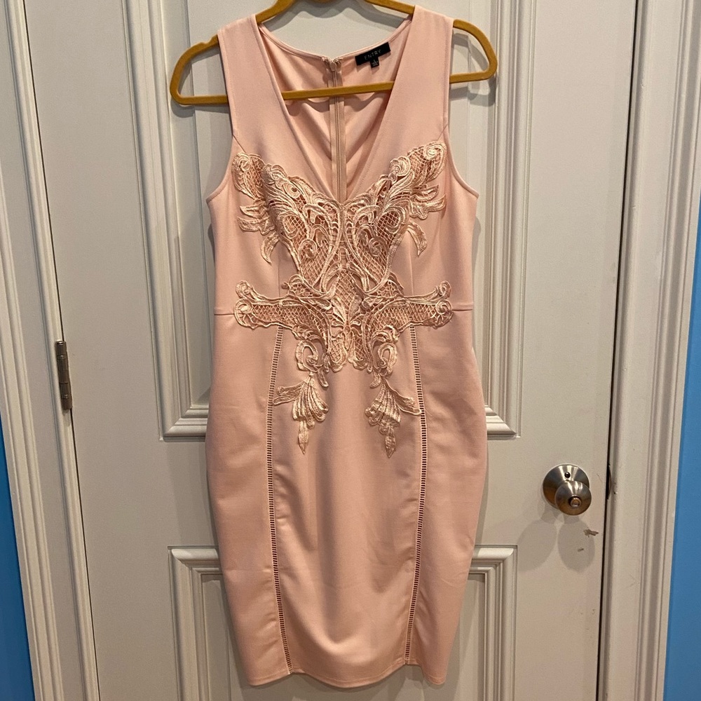 “Entry” Pink Sheath Dress with Lace Detail